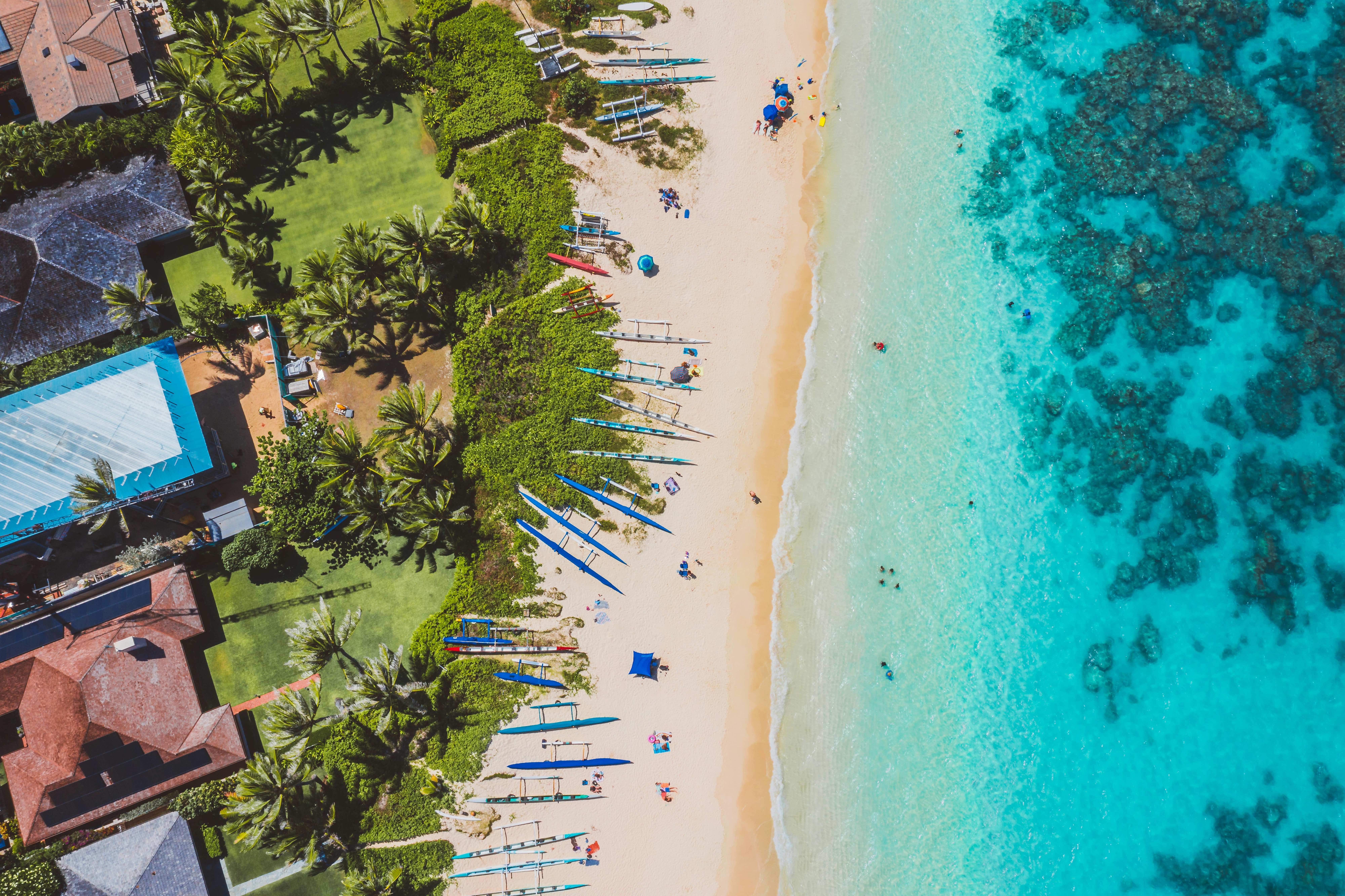 Beautiful Florida coastal beach with palm trees